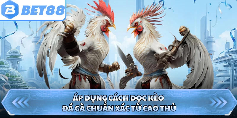 Áp dụng cách đọc kèo đá gà chuẩn xác từ cao thủ
