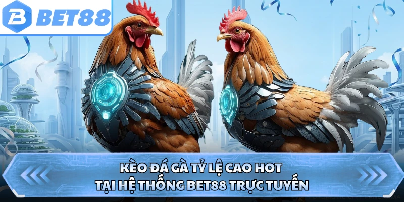 Kèo Đá Gà Tỷ Lệ Cao Hot Tại Hệ Thống BET88 Trực Tuyến