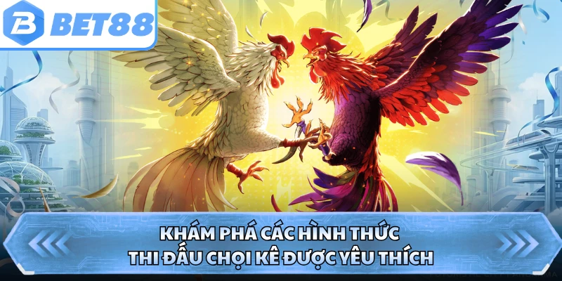 Khám phá các hình thức thi đấu chọi kê được yêu thích