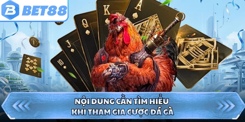 Nội dung cần tìm hiểu khi tham gia cược đá gà