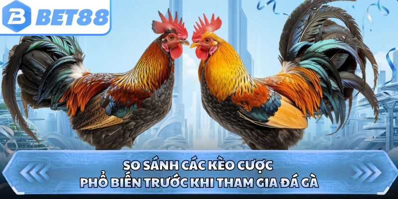 So sánh các kèo cược phổ biến trước khi tham gia đá gà